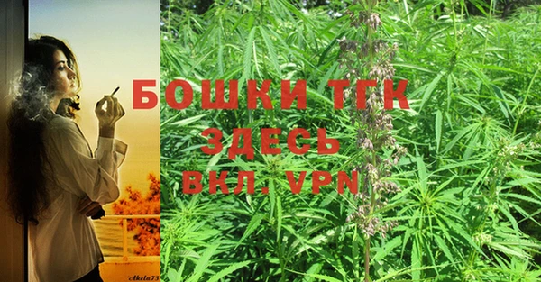 эйфоретик Магас